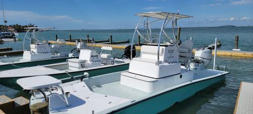 Dargel Skout ficha técnica y opiniones